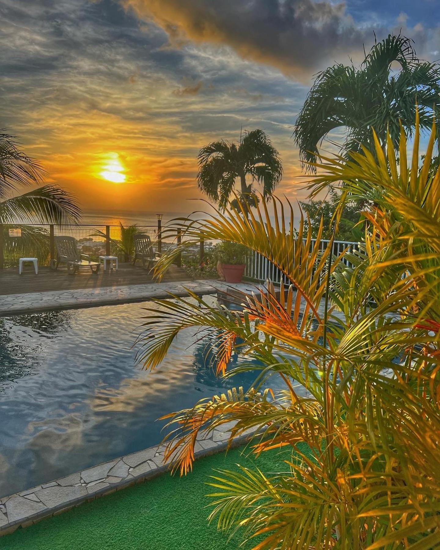 Residence Paradis Tropical Basse-Terre Eksteriør billede