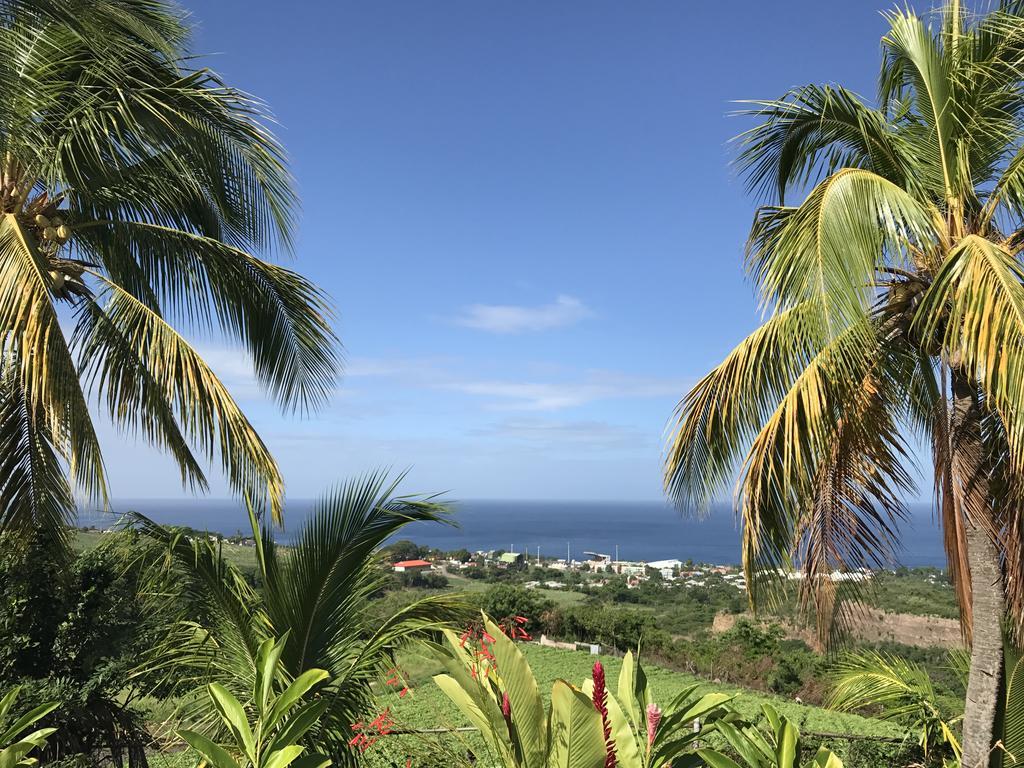 Residence Paradis Tropical Basse-Terre Eksteriør billede