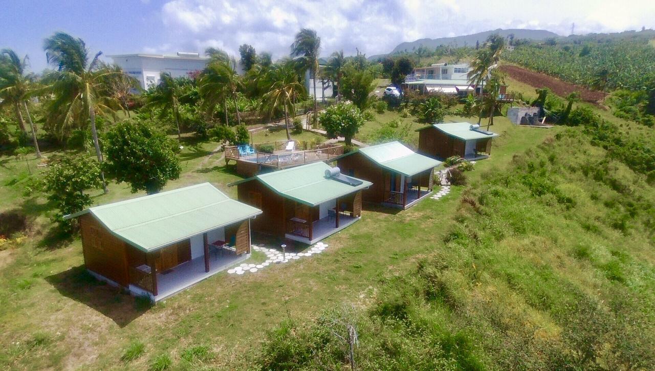 Residence Paradis Tropical Basse-Terre Eksteriør billede