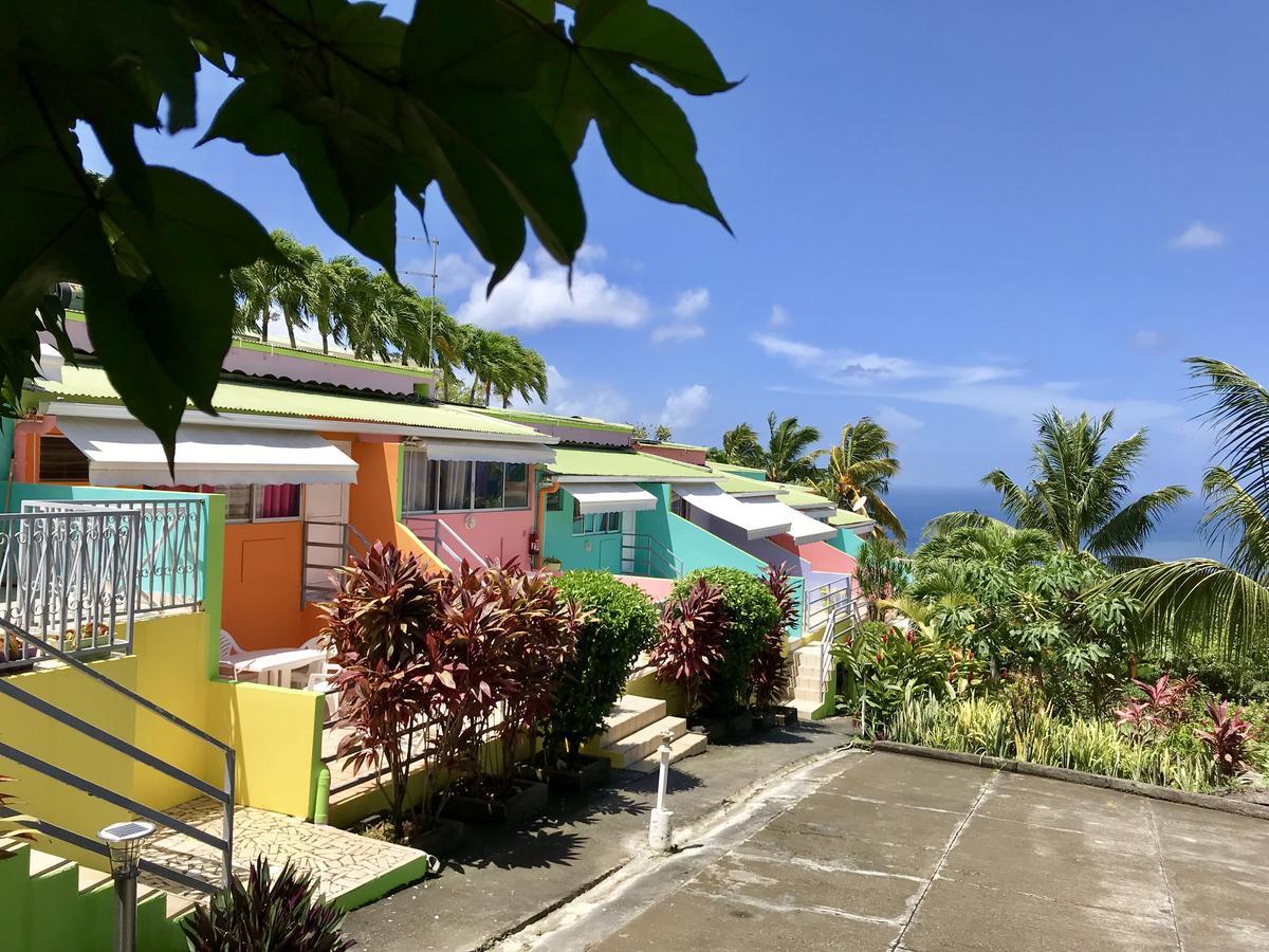Residence Paradis Tropical Basse-Terre Eksteriør billede