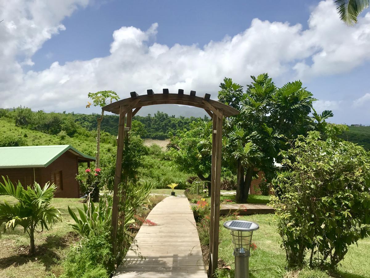 Residence Paradis Tropical Basse-Terre Eksteriør billede