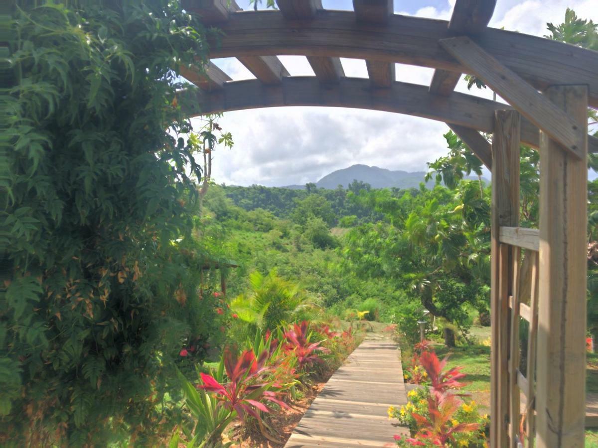 Residence Paradis Tropical Basse-Terre Eksteriør billede