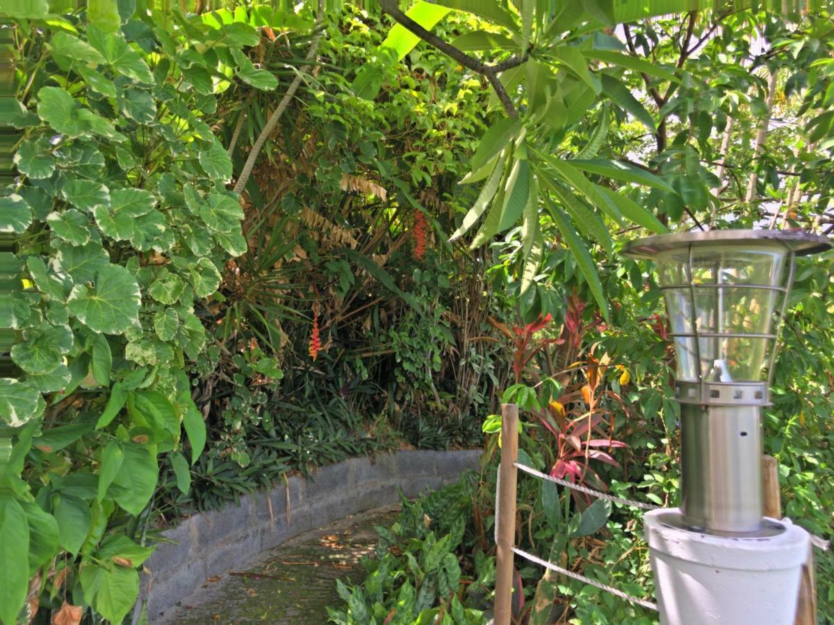 Residence Paradis Tropical Basse-Terre Eksteriør billede