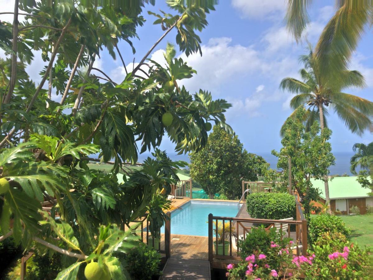 Residence Paradis Tropical Basse-Terre Eksteriør billede