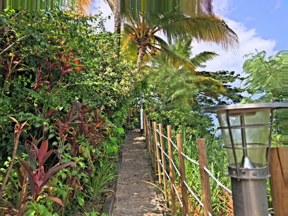 Residence Paradis Tropical Basse-Terre Eksteriør billede
