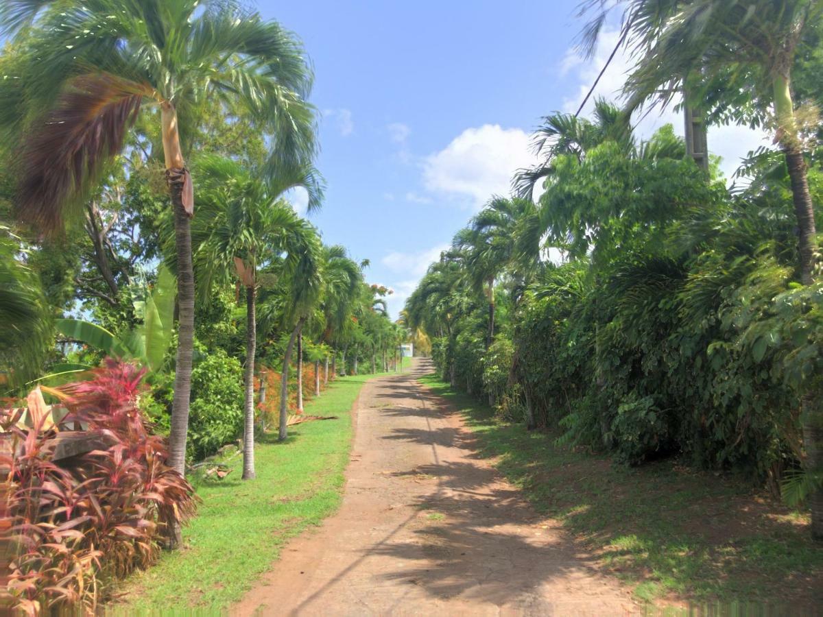 Residence Paradis Tropical Basse-Terre Eksteriør billede
