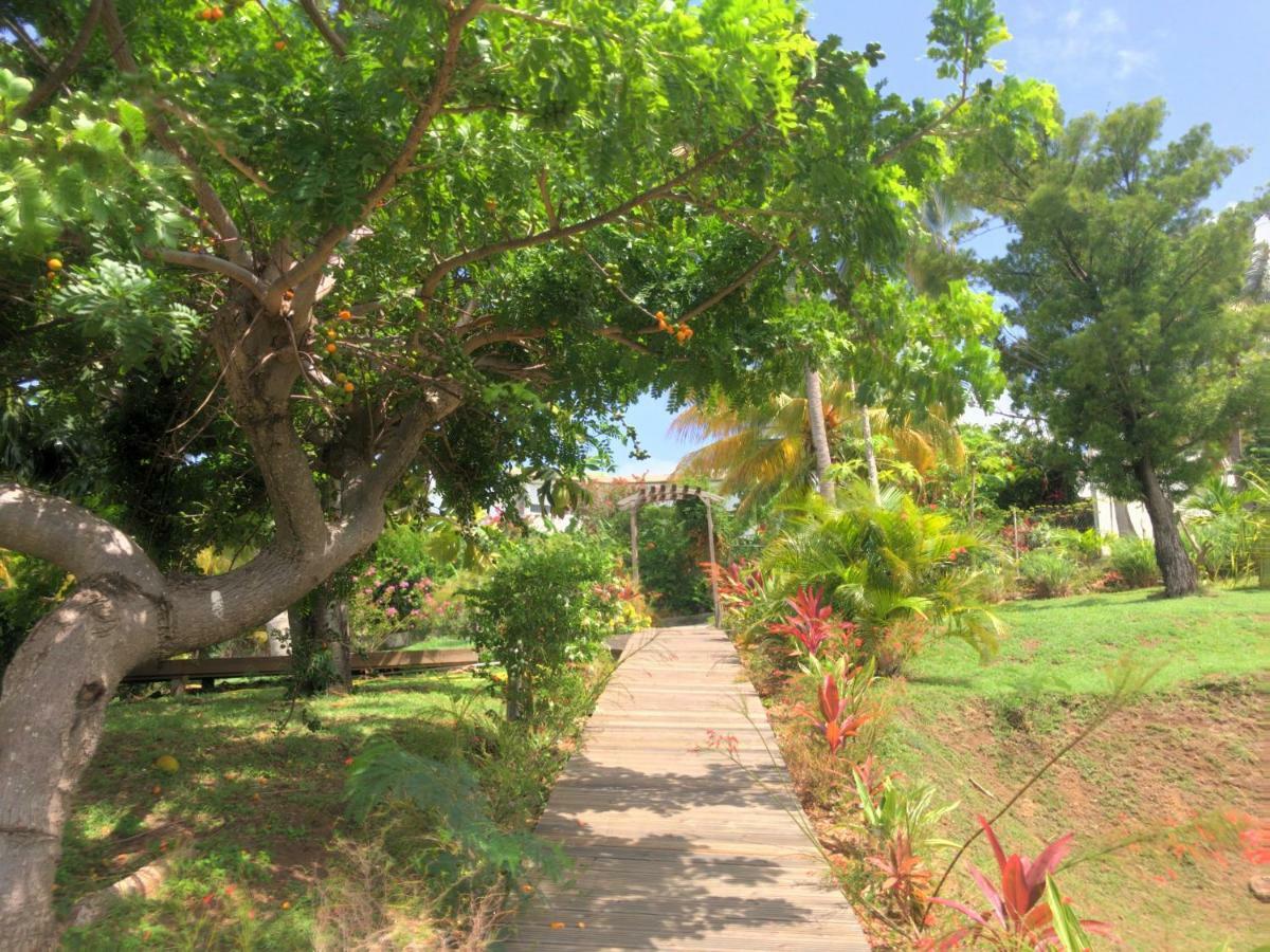 Residence Paradis Tropical Basse-Terre Eksteriør billede