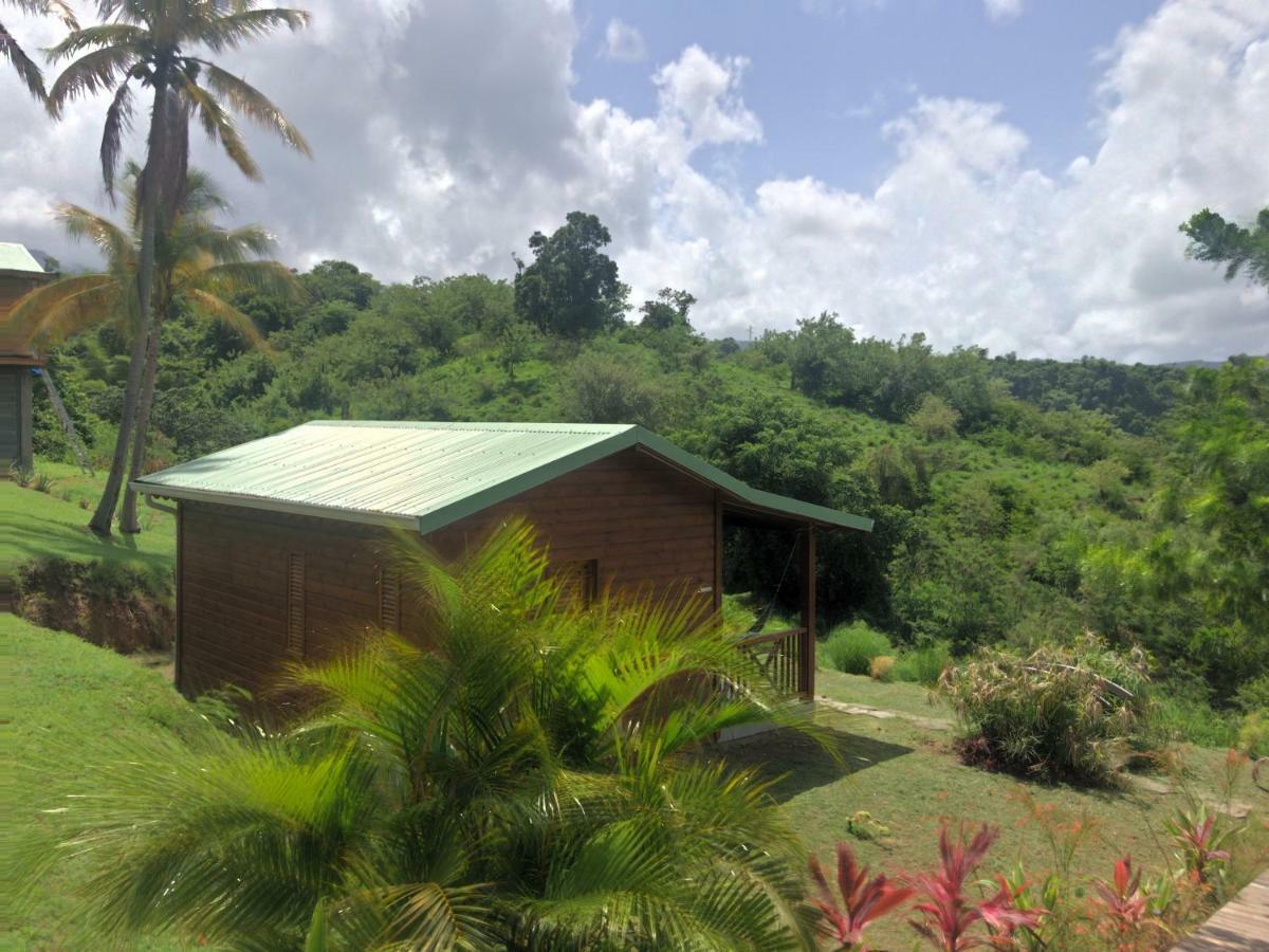 Residence Paradis Tropical Basse-Terre Eksteriør billede