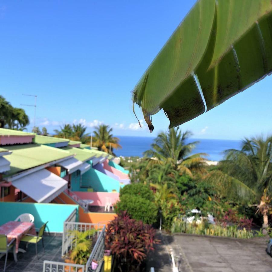 Residence Paradis Tropical Basse-Terre Eksteriør billede
