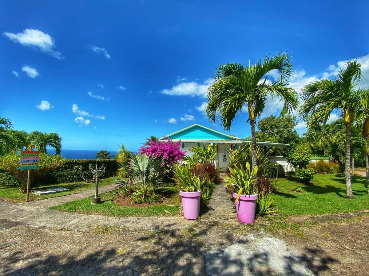 Residence Paradis Tropical Basse-Terre Eksteriør billede