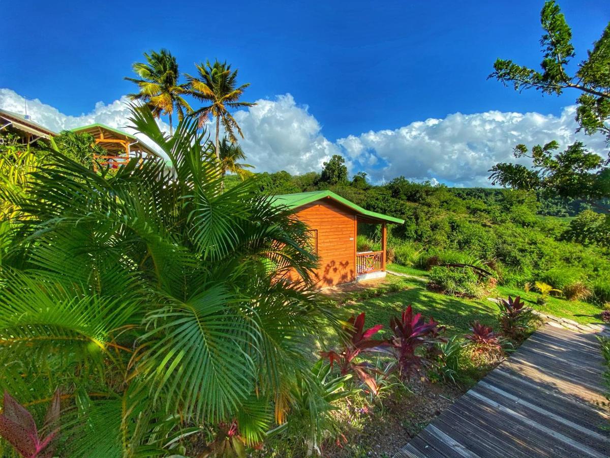 Residence Paradis Tropical Basse-Terre Eksteriør billede